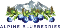 Alpine Blueberries